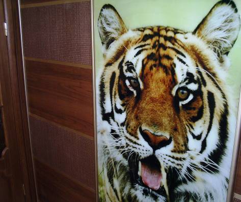 Шкаф-купе с фотопечатью Тигр
