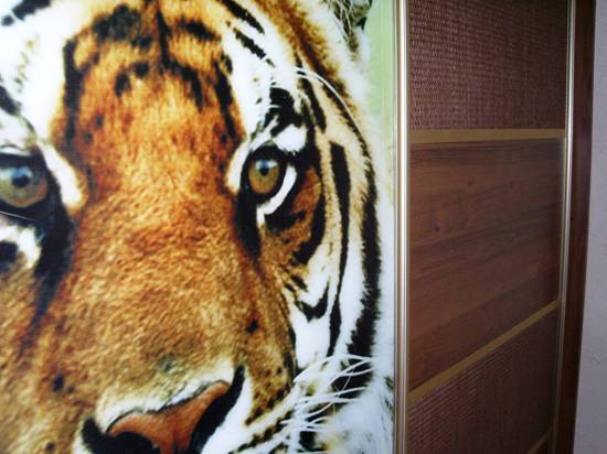 Фотопечать "Тигр" на шкафу купе , вставки из ротанга и ЛДСП